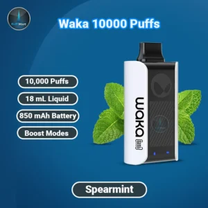 Buy Spearmint WAKA SoPro 10000 Puffs