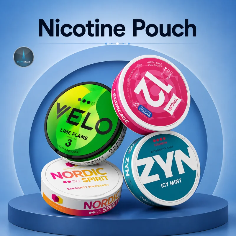 Nicotine pouches